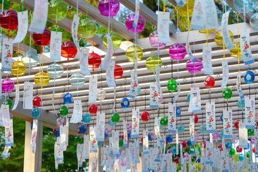 風鈴祭りの魅力を徹底解説!歴史・見どころ・撮影のコツまで!