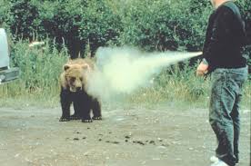 熊撃退スプレー売れ筋5選